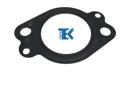 EGZOZ MANİFOLD CONTASI