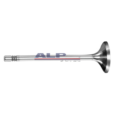 SUBAP IN 3 TIRNAK (12 ADET)