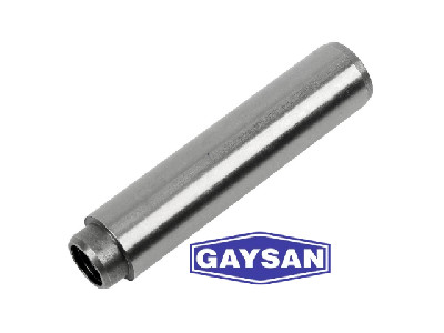 SUBAP GAYDI IN-EX