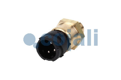 SÜSPANSİYON KORÜK BASINÇ SENSORÜ