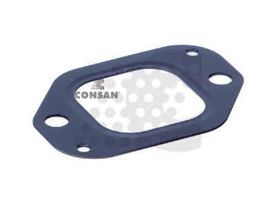 EGZOZ MANIFOLD CONTASI