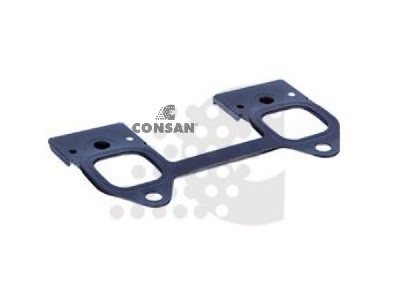 EGZOZ MANIFOLD CONTASI