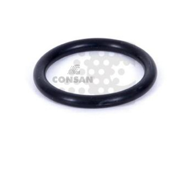 DEVİRDAİM O-RİNGİ