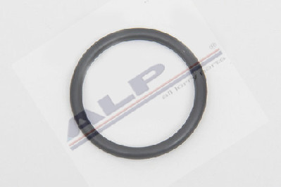 RETARDER YAĞ SOĞUTMA ORİNG TK.